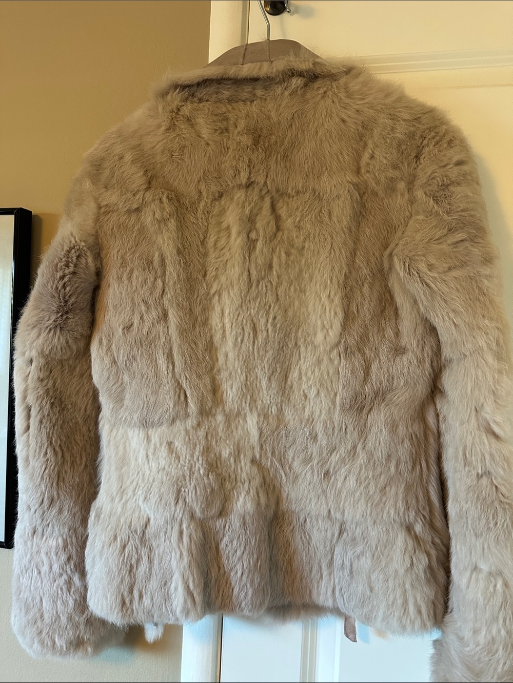 Vintage Plush Taupe leather Jacket with Shawl Collar - Picture 5 of 5